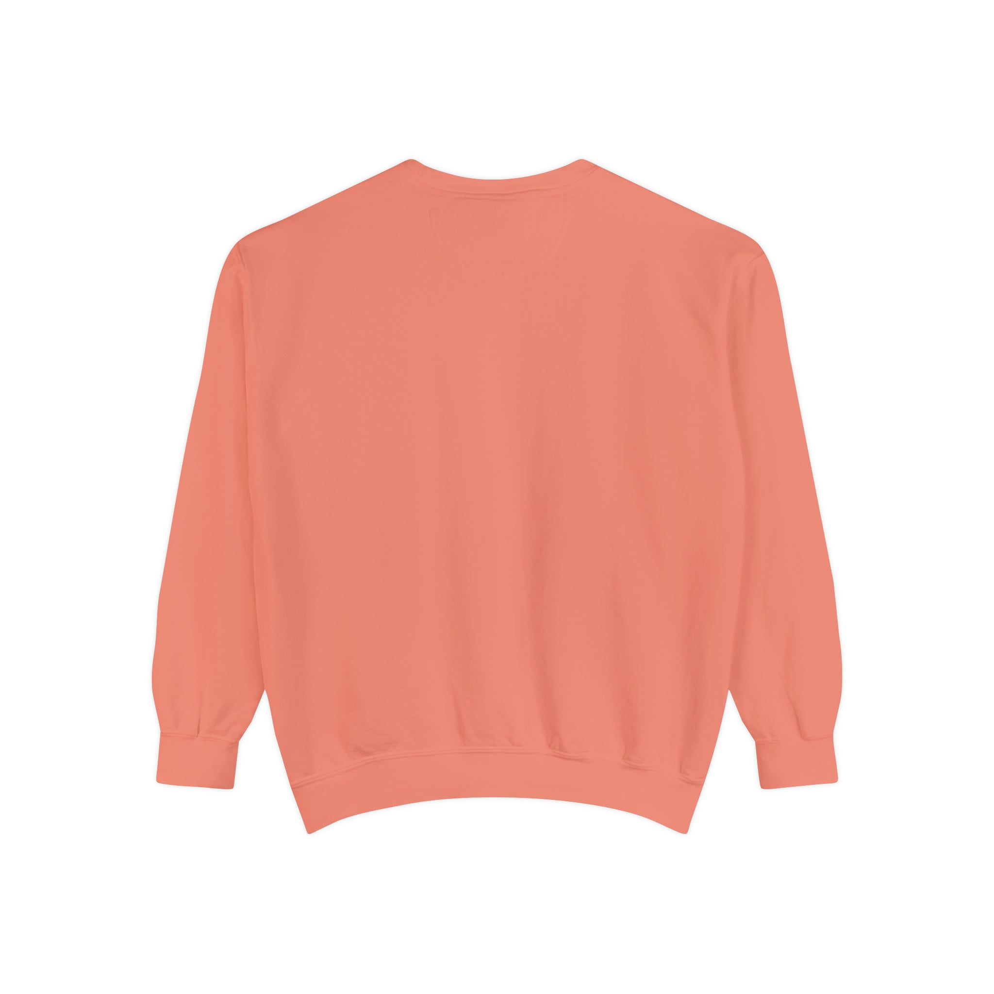 KTOWN Splash Sweatshirt in Terra Cotta