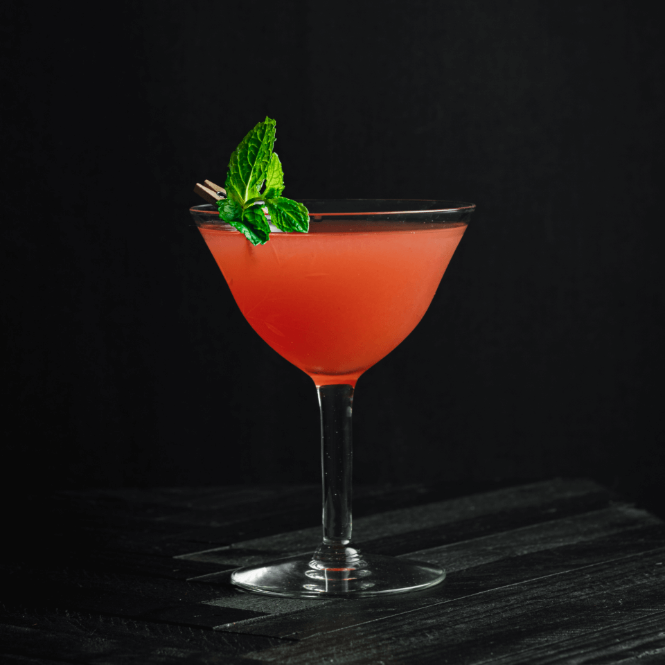 Watermelon Martini