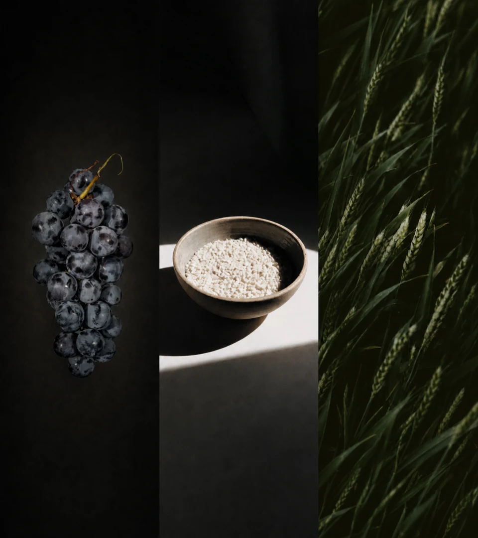 Dark California grapes, Calrose rice, and green wheat